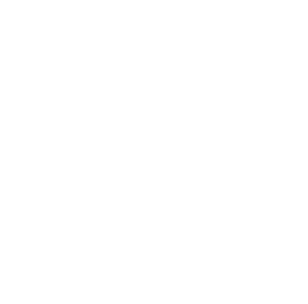 新鮮で絶品!